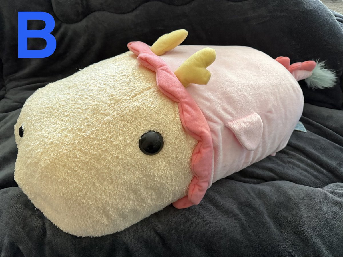 Rial_kuma's tweet photo. 今回多いよぉー
その1からその4まであるからゆっくり選んでね
質問なども受け付けますー
好きな番号をどうぞぉー

その１ https://t.co/vPZ4cOysst