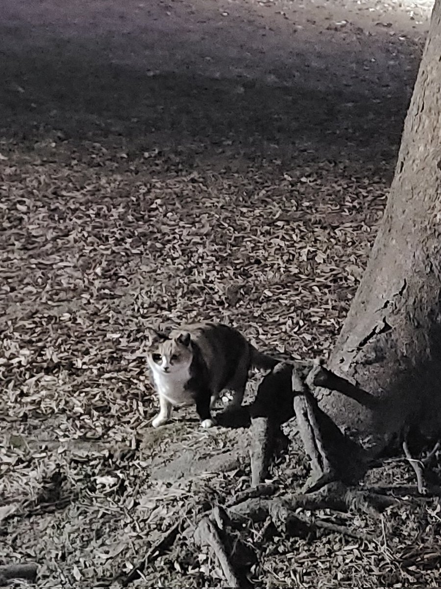 술술 잘 읽히는데, 내용이 많네 ㅎㅎ
이런 내용을 이 정도로 정리하시다니 대단.
뭔가 빠른 실천이 시작되어야 할 듯.