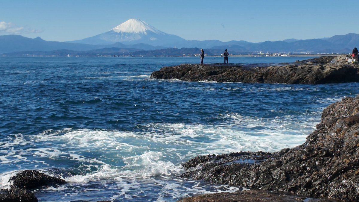 週末ウォーキング tweet media