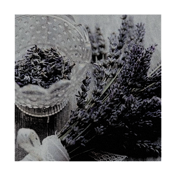 xspeckofdust's tweet photo. ⠀⠀⠀⠀

⠀⠀⠀⠀Un poco tarde, tal vez, pero ha elaborado unos ramos de lavanda para felicitar a @KISSM3TENDER el año nuevo. Los ha dejado sobre el arcón situado a los pies de su cama. En el más puro de los anonimatos.
⠀⠀⠀⠀ https://t.co/dYqw5C4xdV