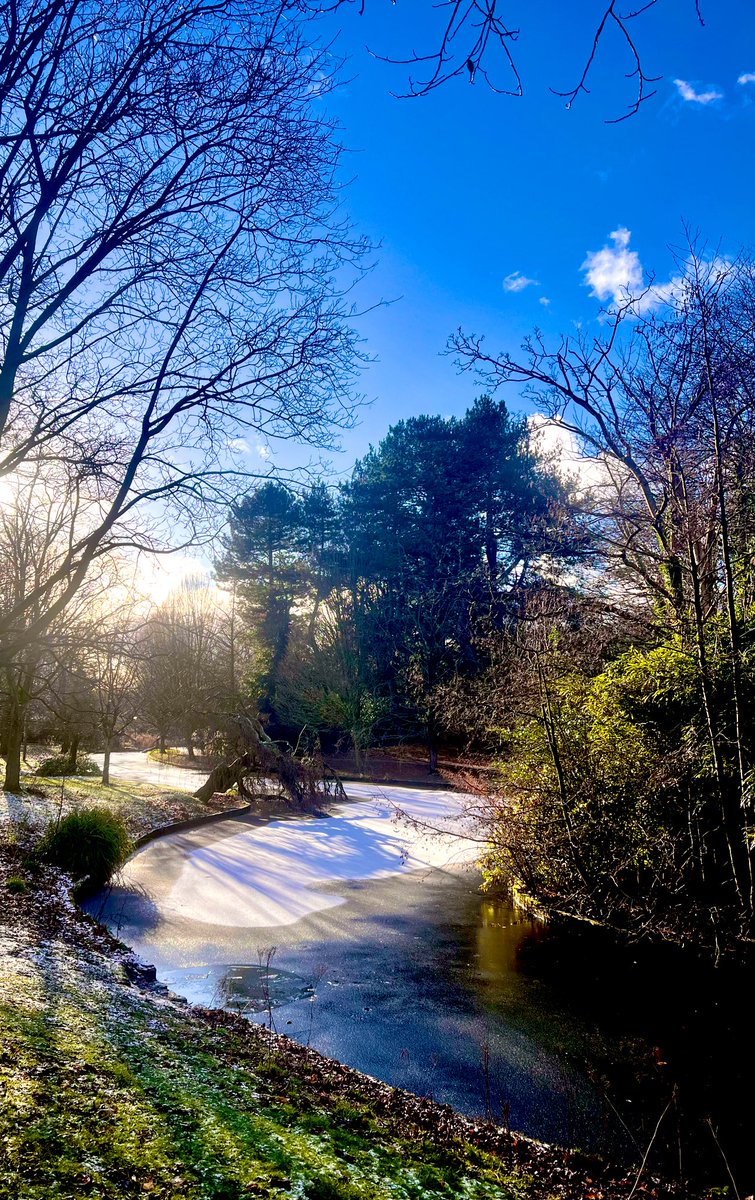 The Friends of Sefton Park tweet media
