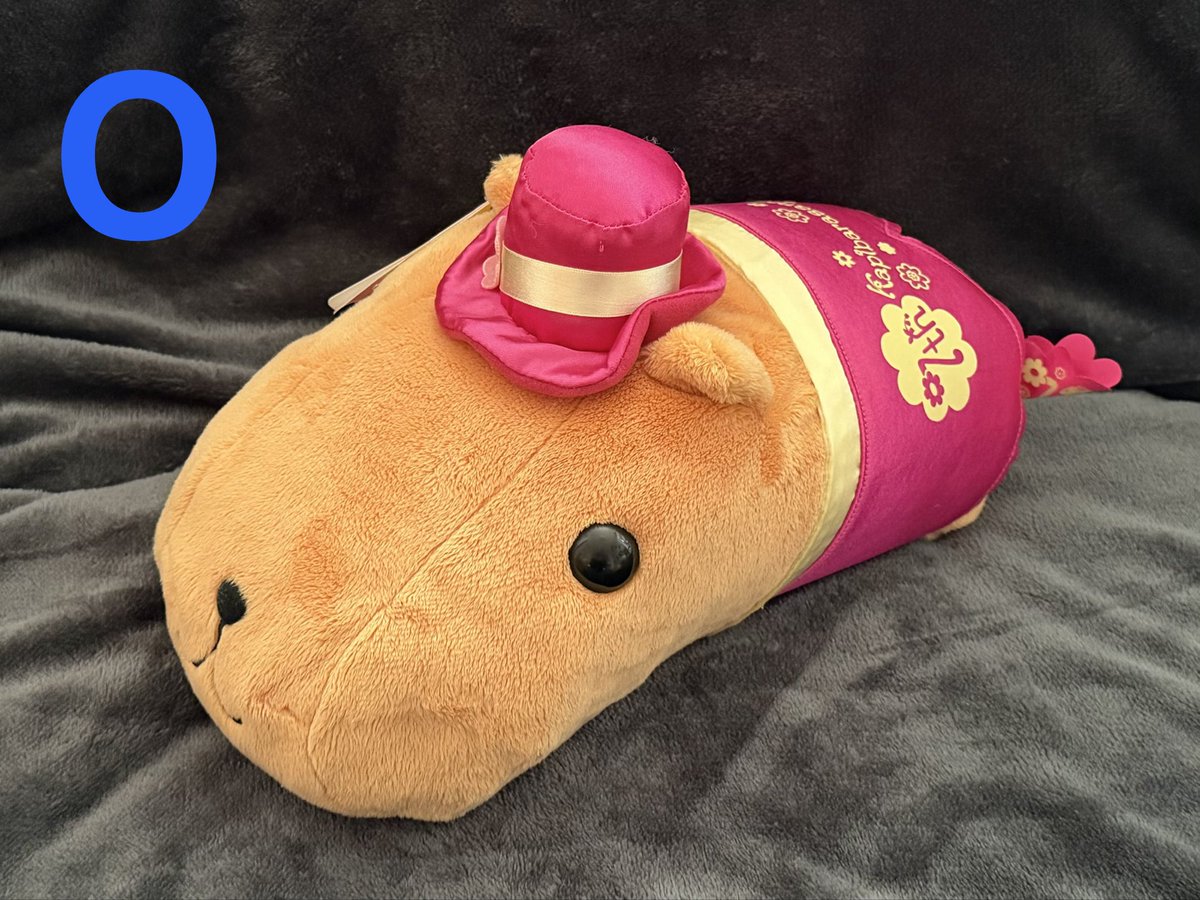 Rial_kuma's tweet photo. その４ https://t.co/CxsobdfSfs