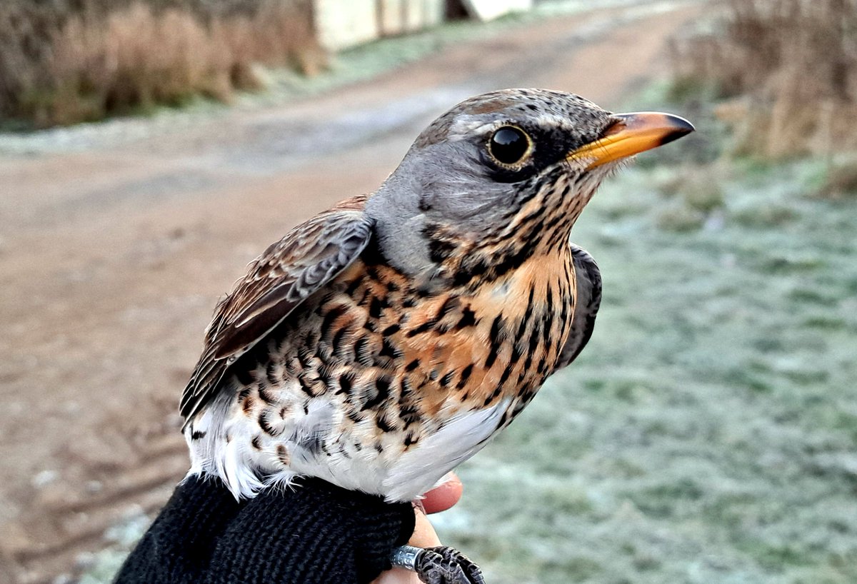 Graham Deacon tweet media