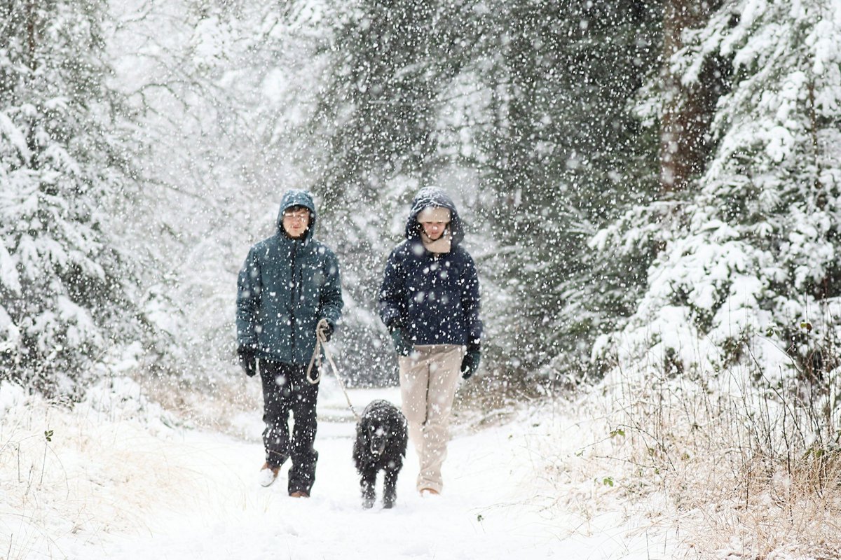 c_gathier's tweet photo. Heerlijke winterse wandeling op de Veluwe #sneeuw https://t.co/Q5o6sXJN0S