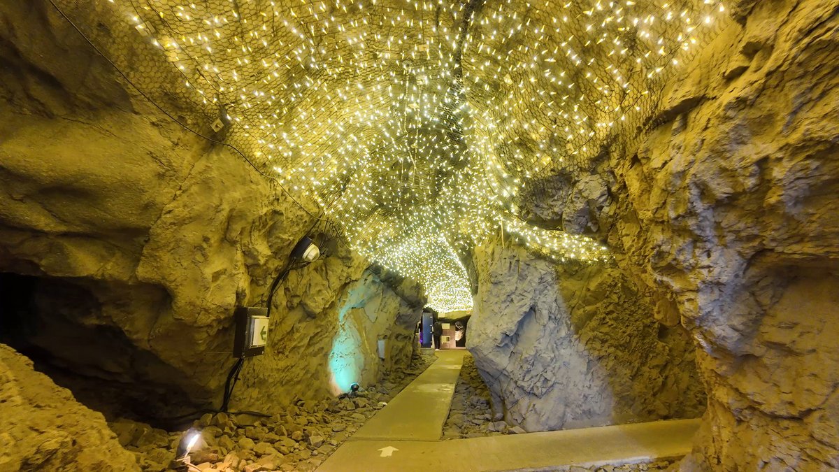 週末ウォーキング tweet media