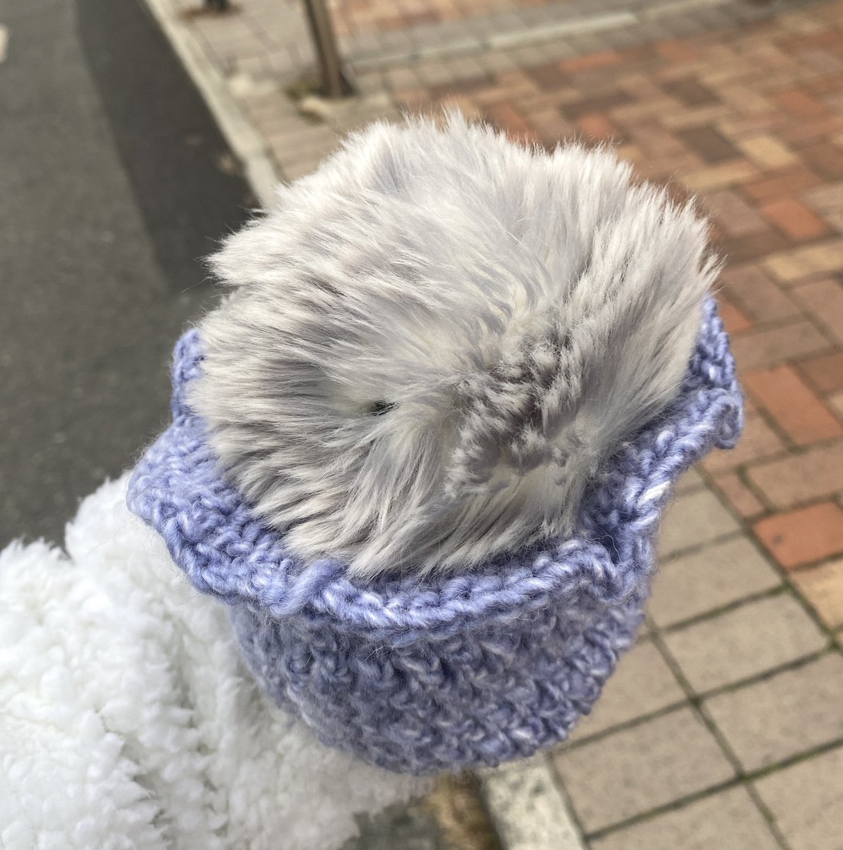 Asa (@kan_ami_ze_ami) / Posts / X