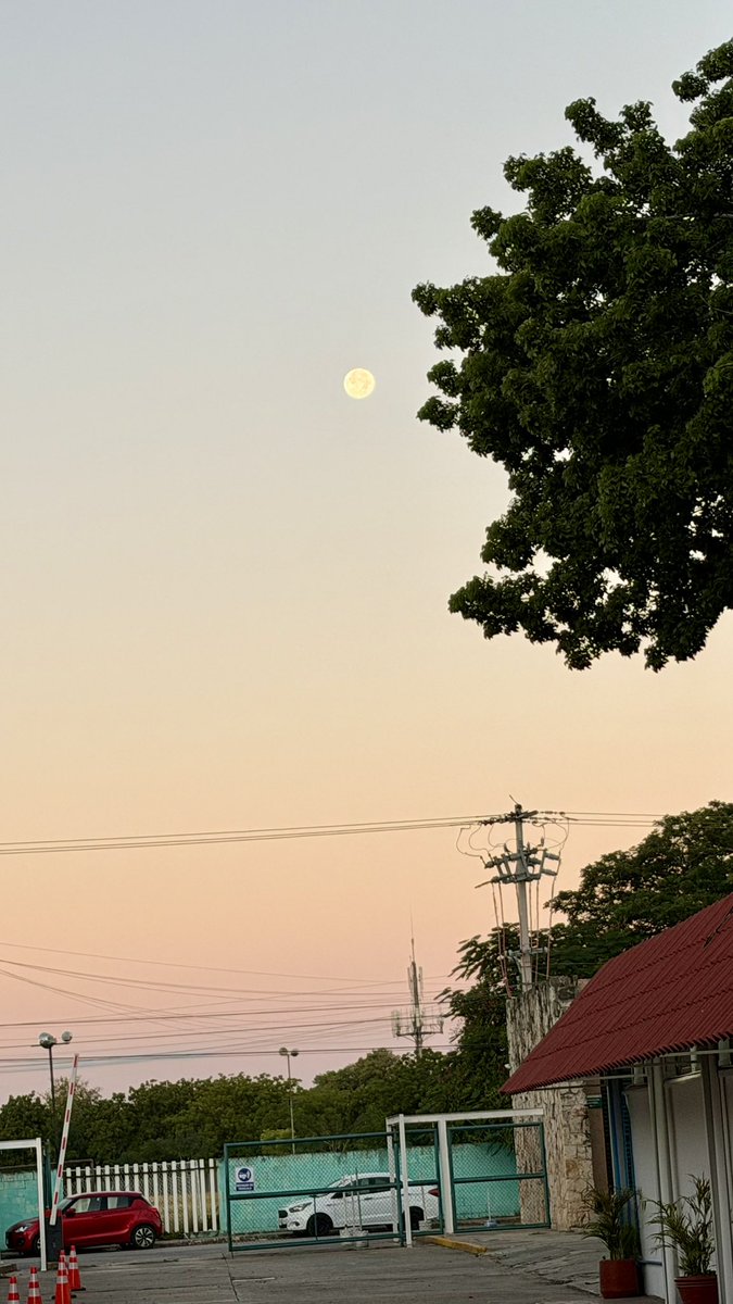 rjhernandezm's tweet photo. Luna mañanera de invierno.
Saliendo de la chamba. https://t.co/DzZNrMCXMs