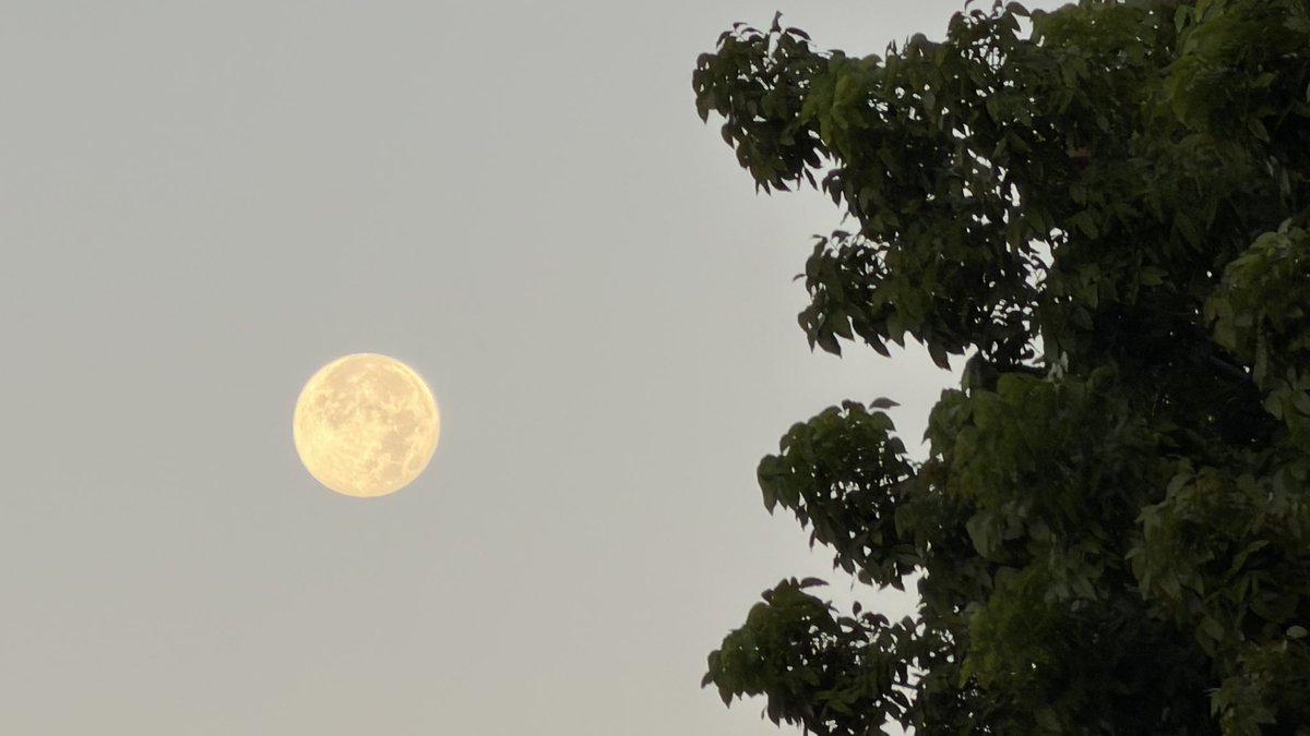 rjhernandezm's tweet photo. Luna mañanera de invierno.
Saliendo de la chamba. https://t.co/DzZNrMCXMs