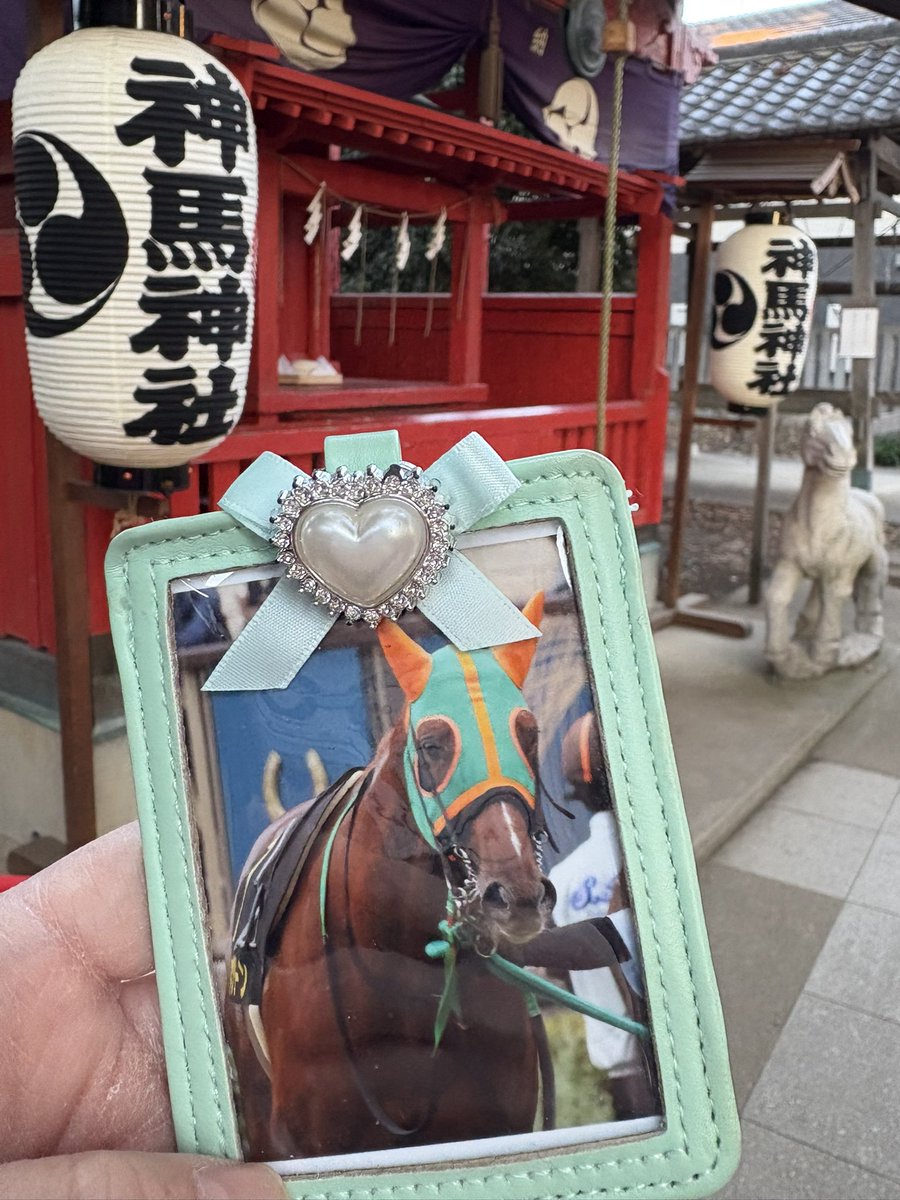 ハルちゃんちのママ (@zbsJUMqxrLzXEM8) / Posts / X