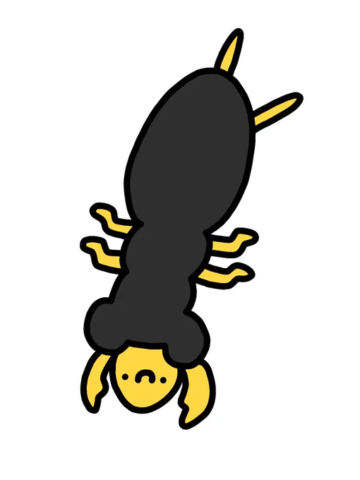 オオアゴメダカハンミョウ