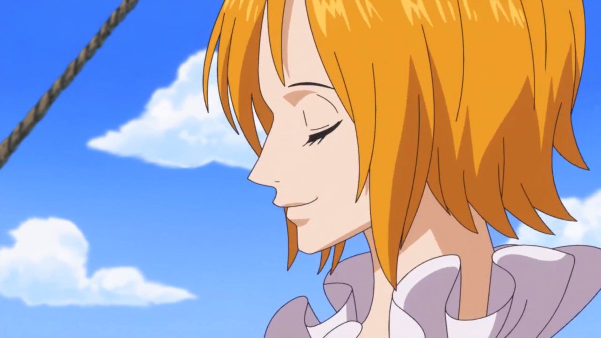 Daily Koala tweet media