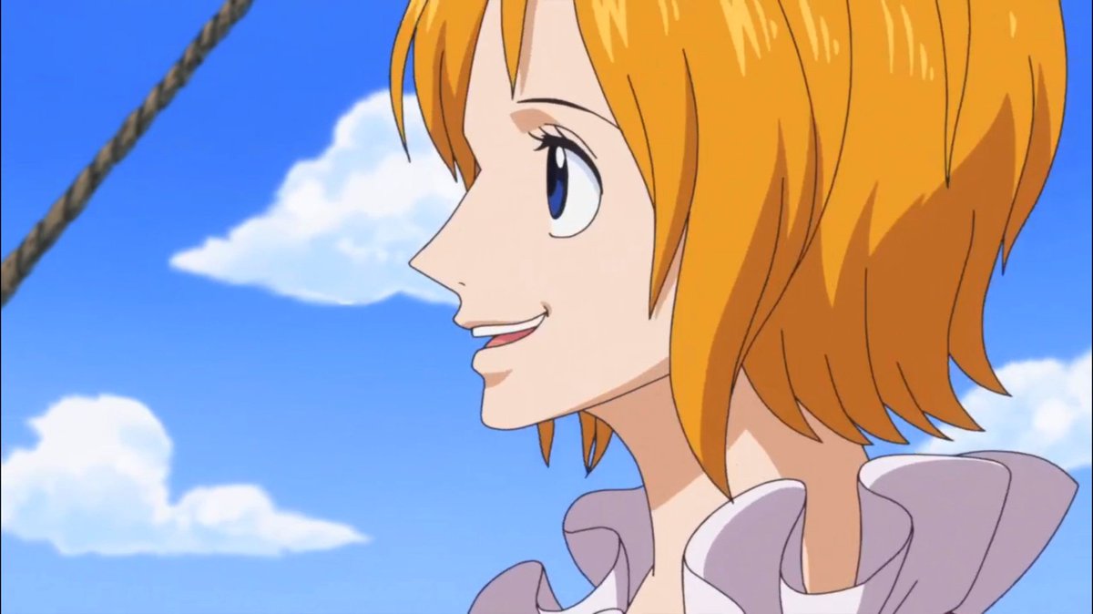 Daily Koala tweet media