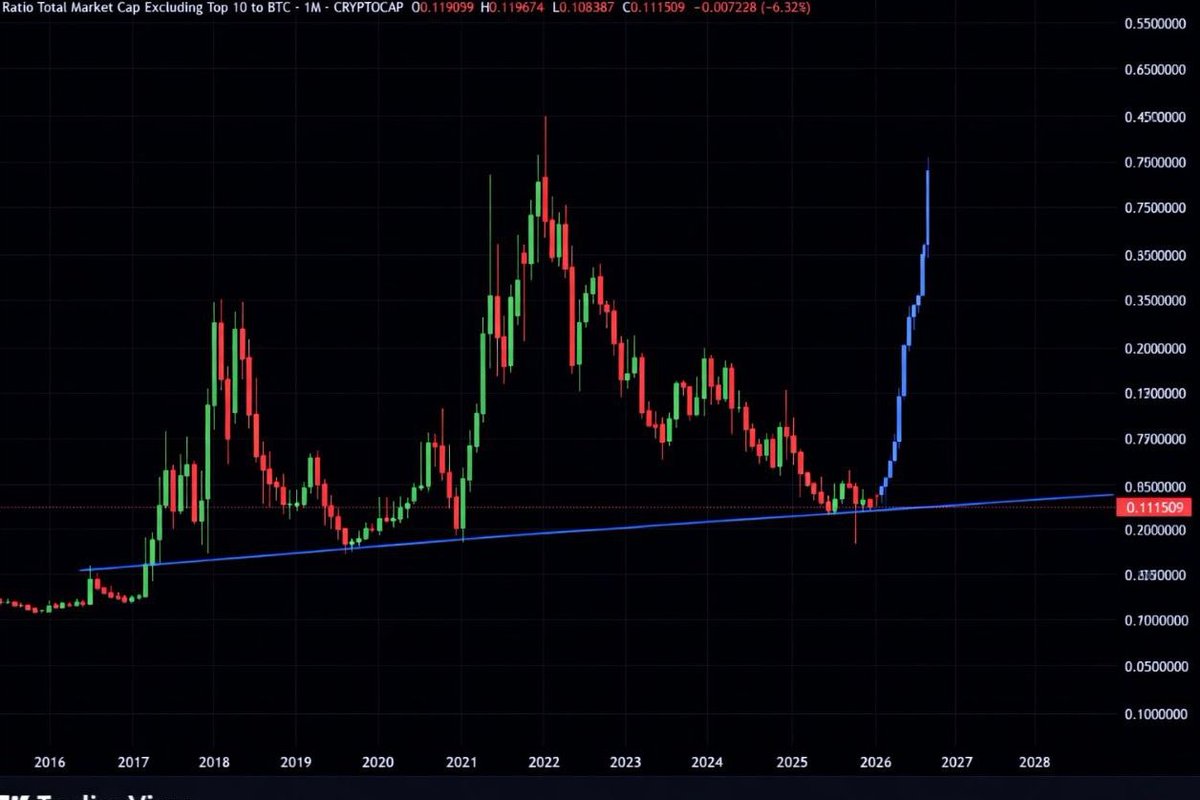 Crypto_Trends_'s tweet image. $VRA will do this HUGE PUMP soooon 🤑🤑🚀🚀