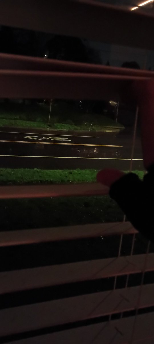 elliejoan8's tweet image. So beautiful. Lucky. I hope to see at least a dusting here at the valley floor. Enjoying the rain in the meantime. #PacificNW