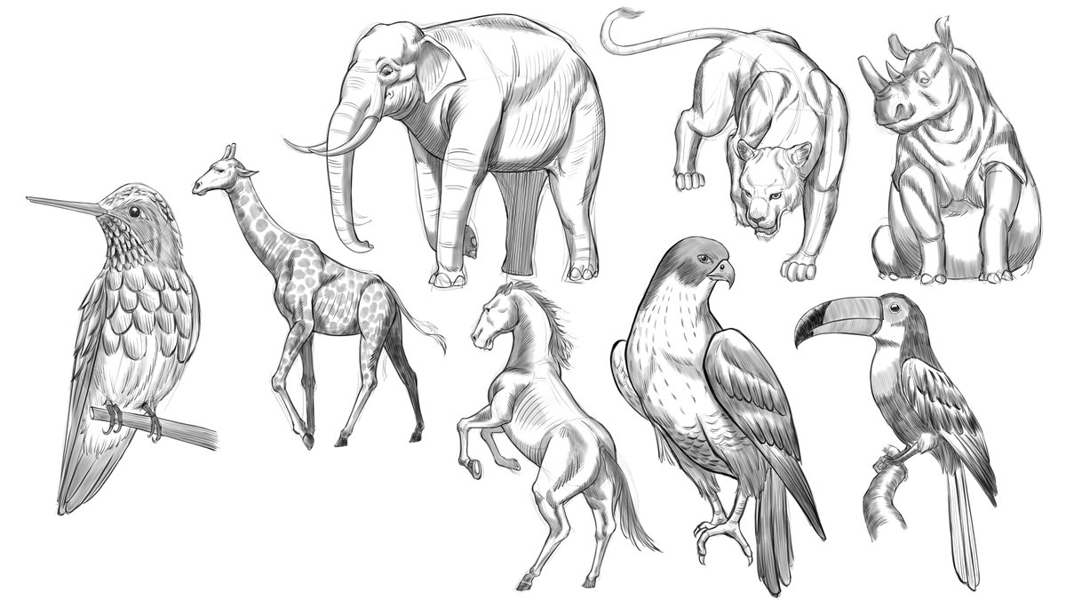 takano_graph's tweet photo. Studies from 2025

#drawing  #sketches https://t.co/SHGo2SdxZL