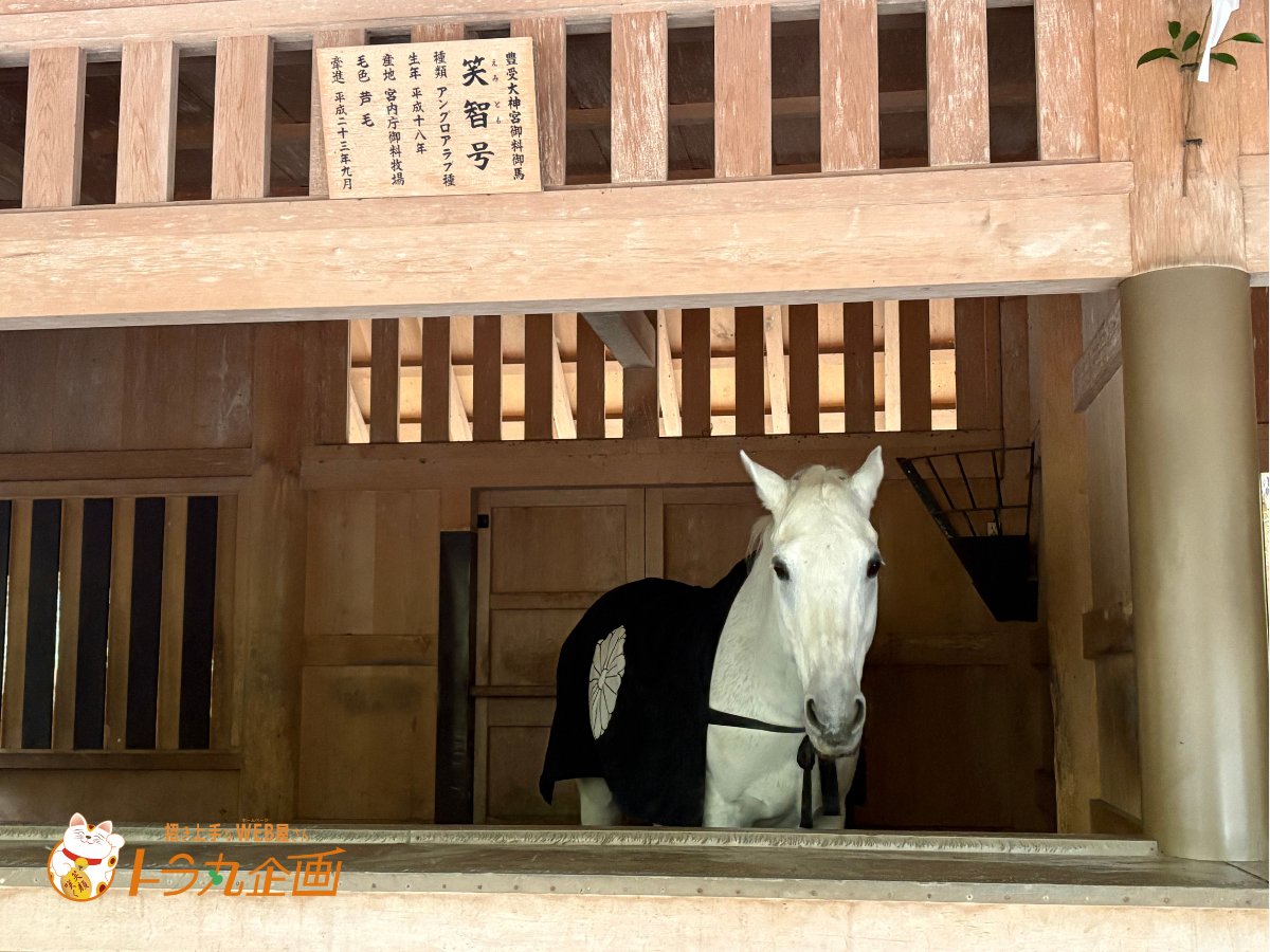 おはようニャ🐾 鹿児島・愛知ともに☀️予報 年末に伊勢神宮に参拝した