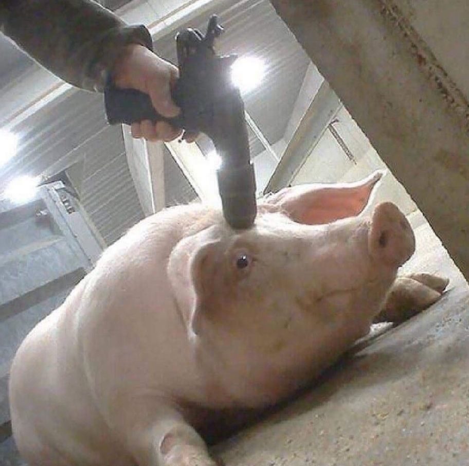 John Oberg tweet media