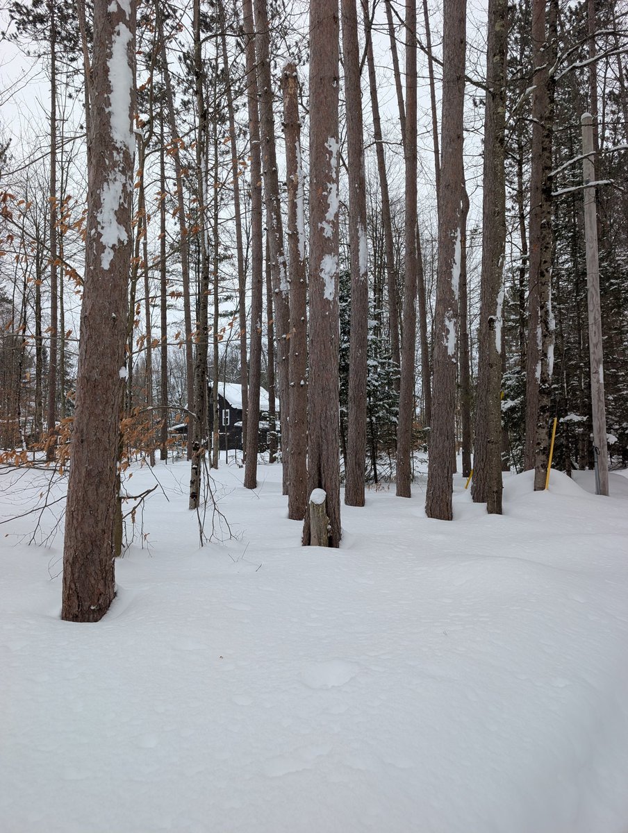 Adriana Porter Felt tweet media