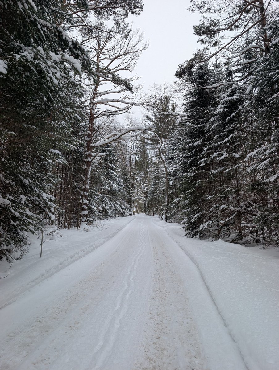 Adriana Porter Felt tweet media