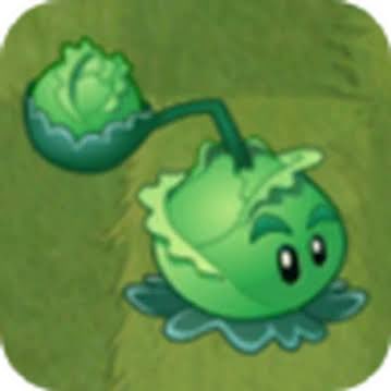 happy 1000 followers #NewProfilePic