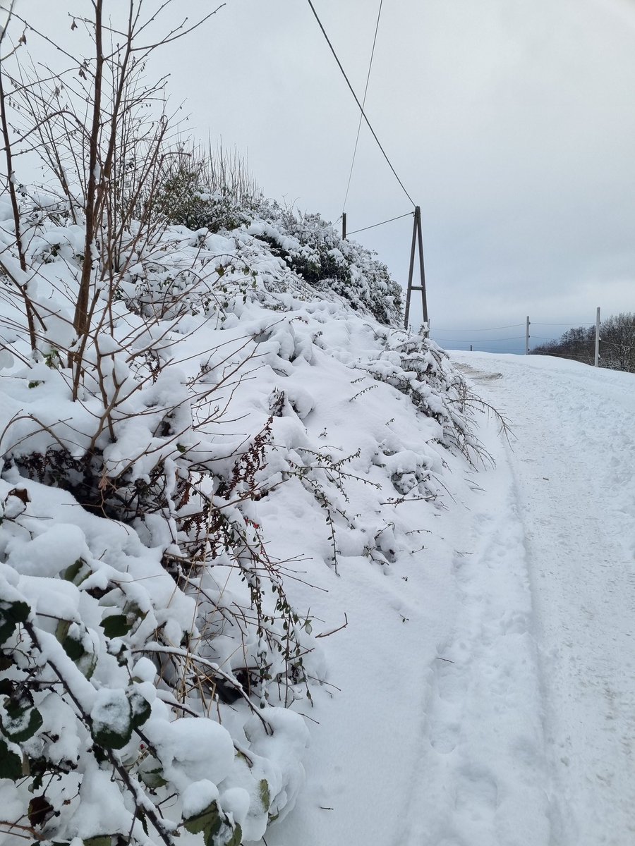 It's sooo winter here❄️❄️❄️♥️♥️♥️