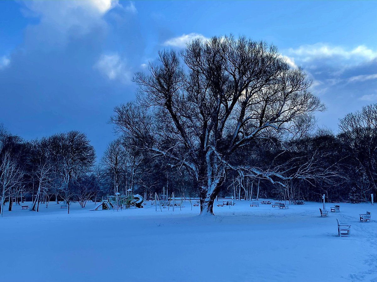 Sheriff Rick Grimes, Richmondshire County🇬🇧🤠⭐️ tweet media