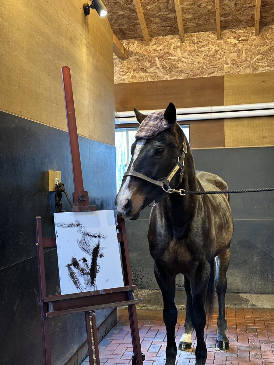 ワンダーアキュート
書き初めTシャツ✍️🐴

テレビ放送された
あの作品をそのままデザイン。

「左馬」は縁起の良い文字で
招福・商売繁盛の意味があるそうです✨

受注販売となりますので
お見逃しなく。

🔗 versailles.theshop.jp

#ワンダーアキュート
#アキュート画伯
#書道家アキュート