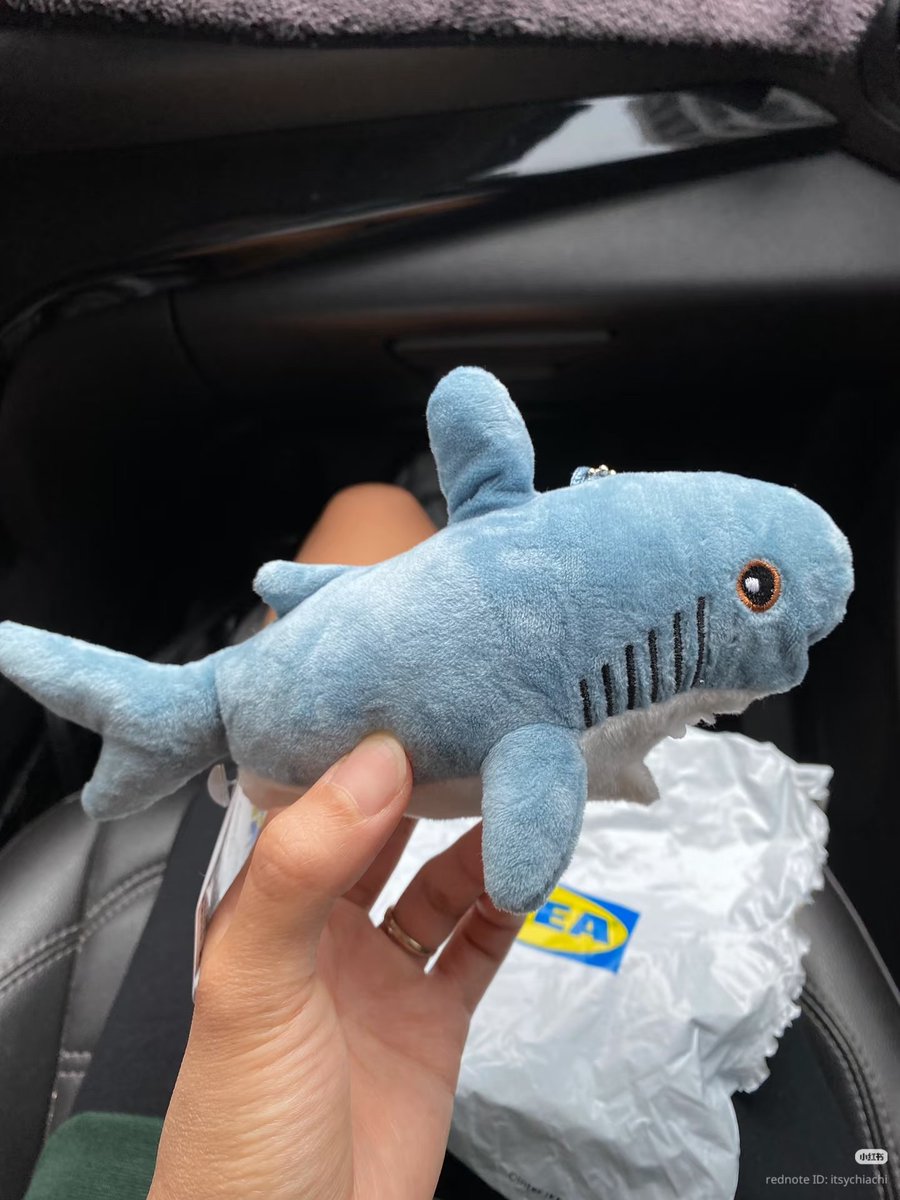 bluelisse's tweet image. Life is stressful, you need PLENGER  and SUCIPTO on your bag 😭🫵