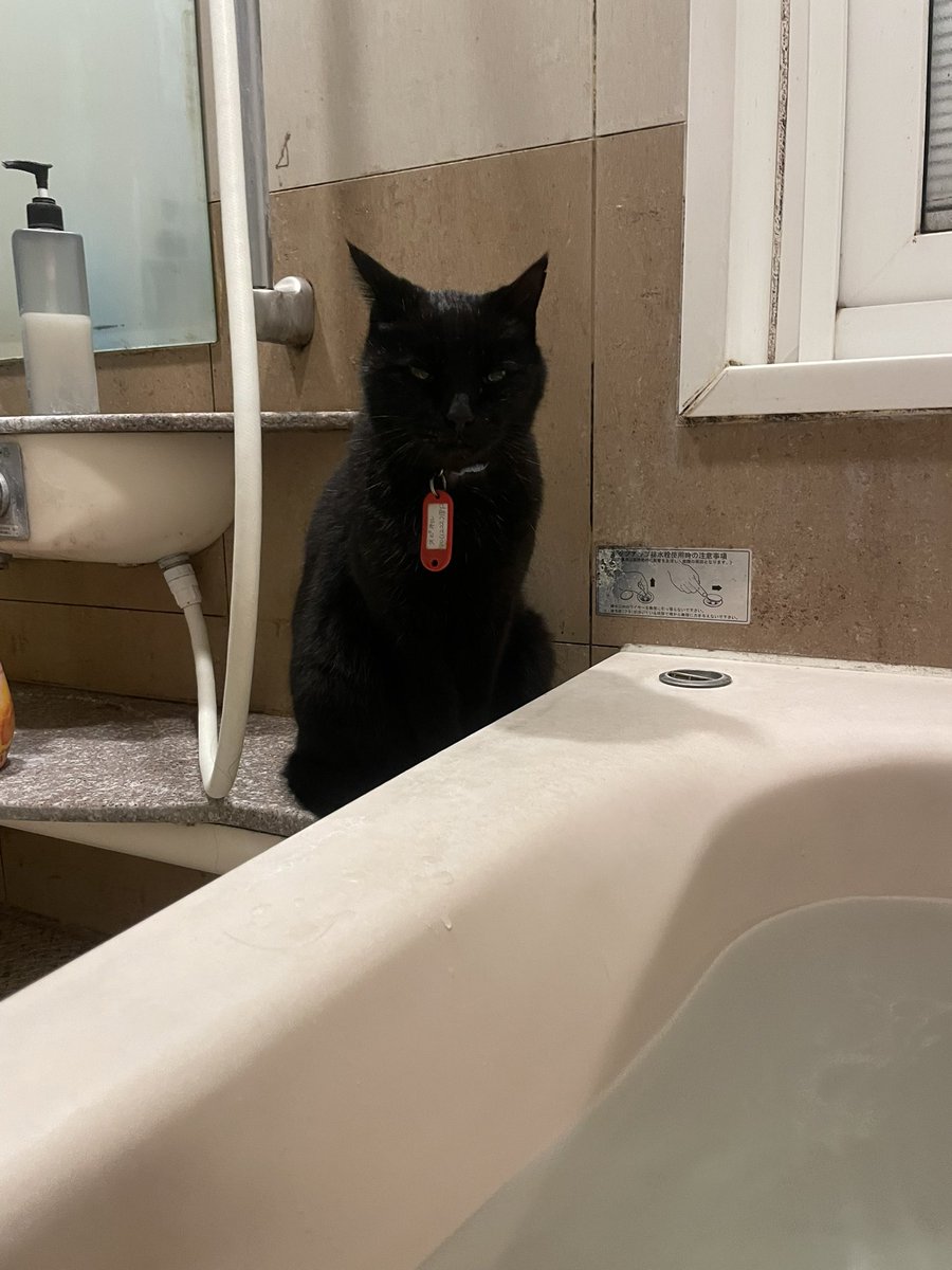 RAN (@RAN3163) / Posts / X