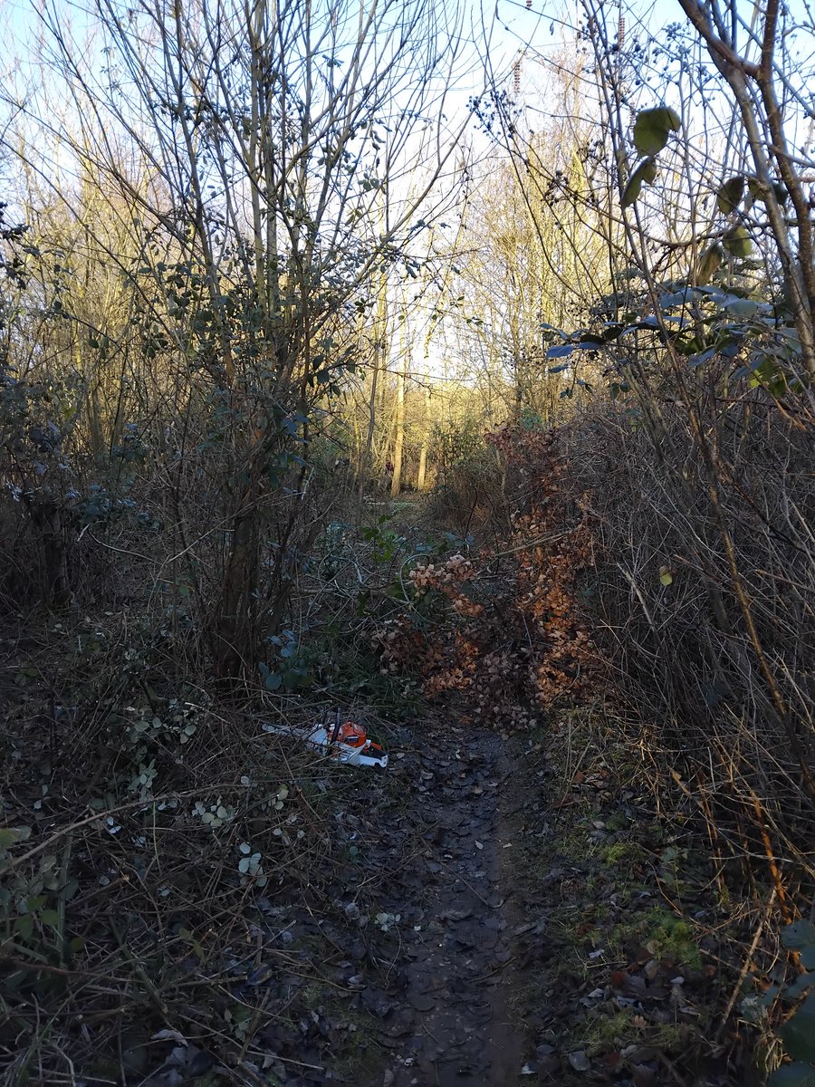 Greenways Project tweet media