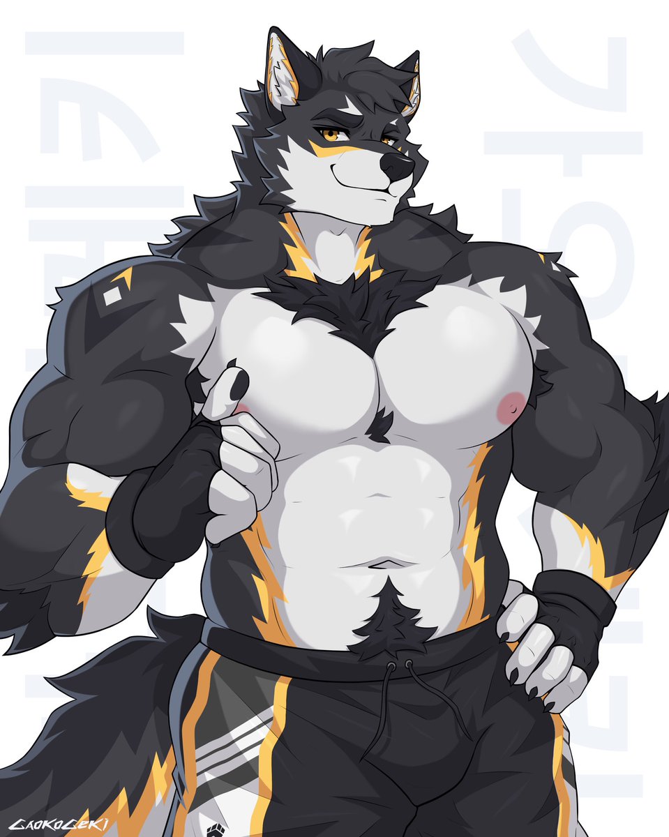 gaokogeki's tweet image. Big bro