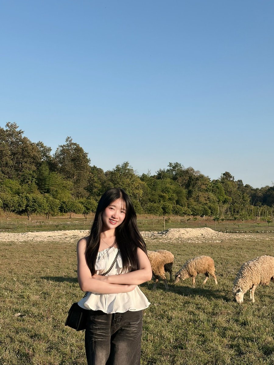 Num0906's tweet image. 🐣