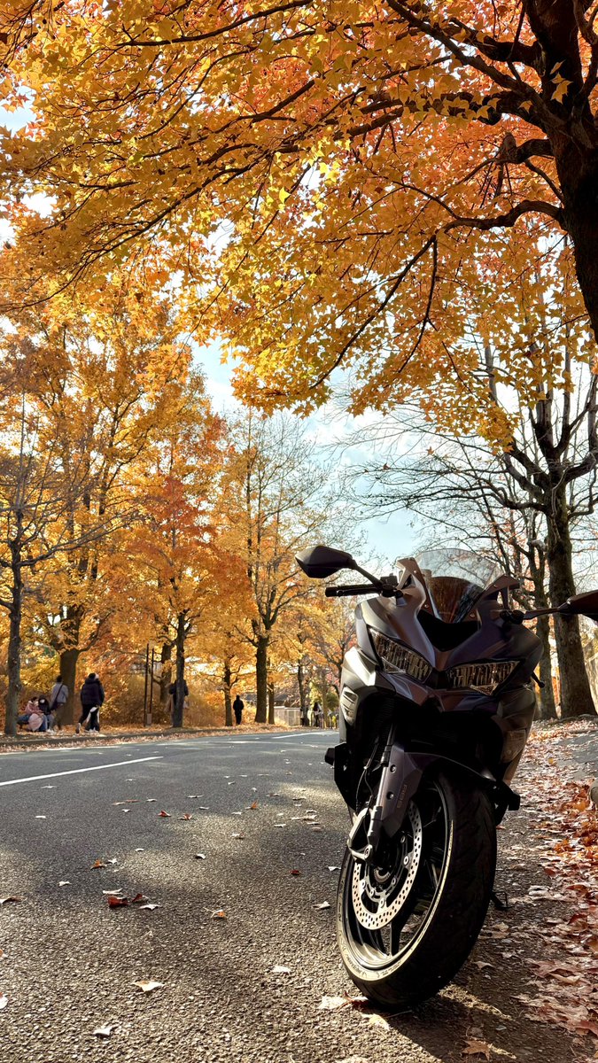 ひじり なんかバグで画像が消えてたので改めて💦 自己紹介！ 名前 : ひじり