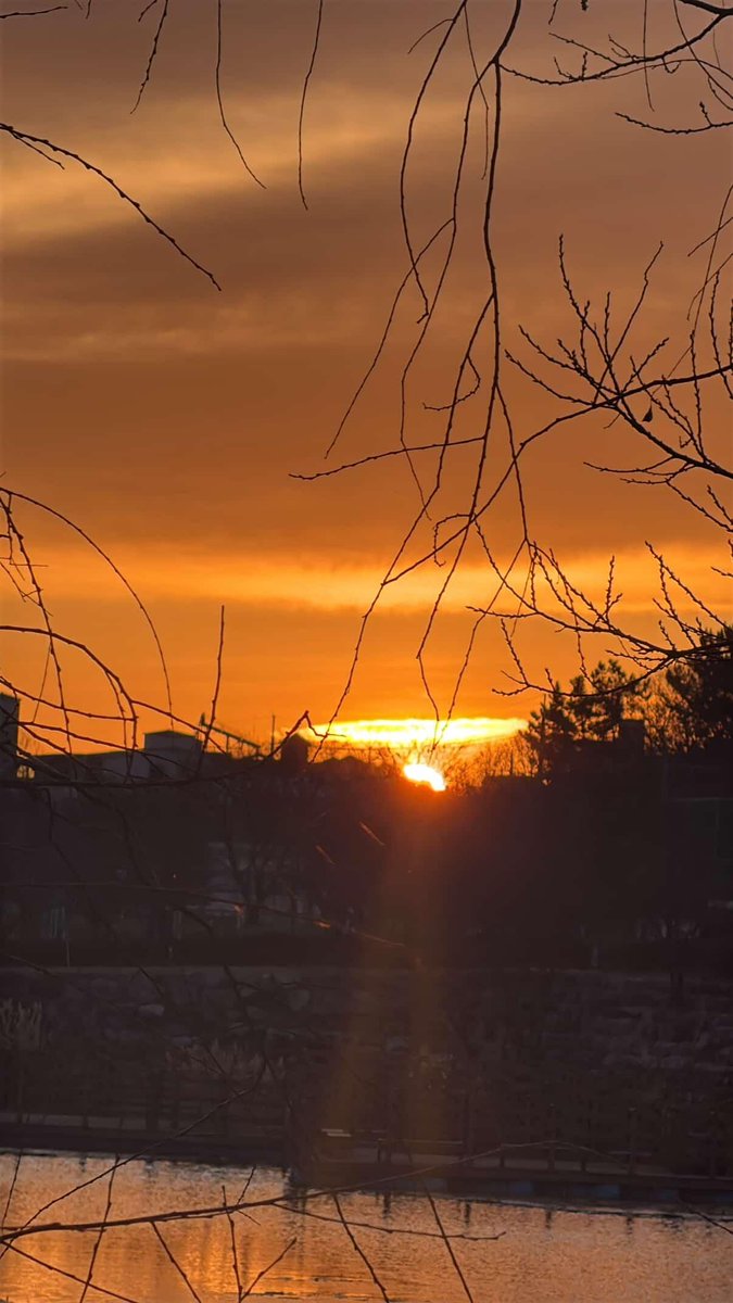 ENHYPEN WEVERSE tweet media