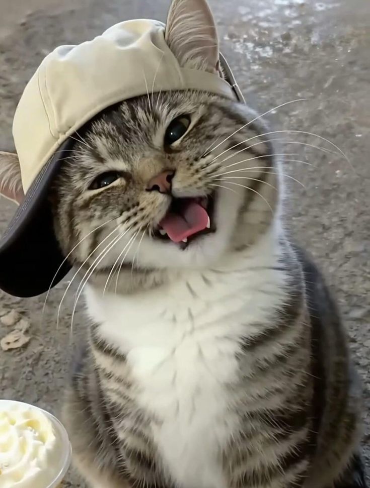 cuteonlyvibes's tweet image. say hi to Rick or have a terrible 2026