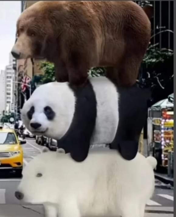 Página Séria. (@apaginaseria) on Twitter photo 