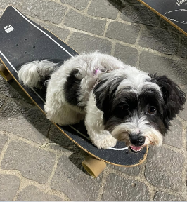 WantedIntelligence tweet media