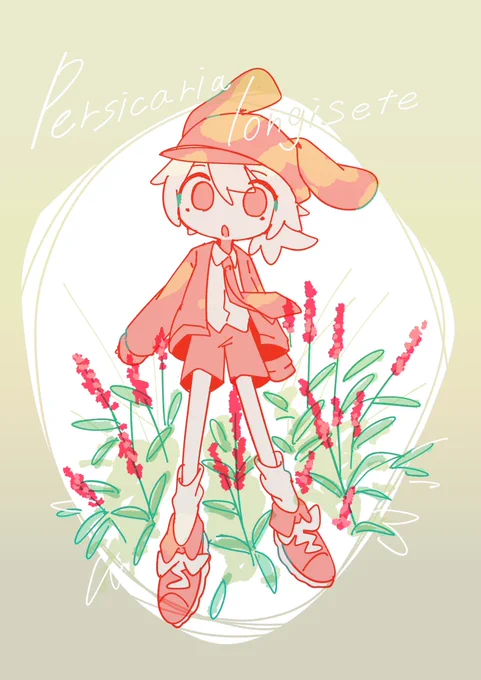 #365日植物イラスト イヌタデ