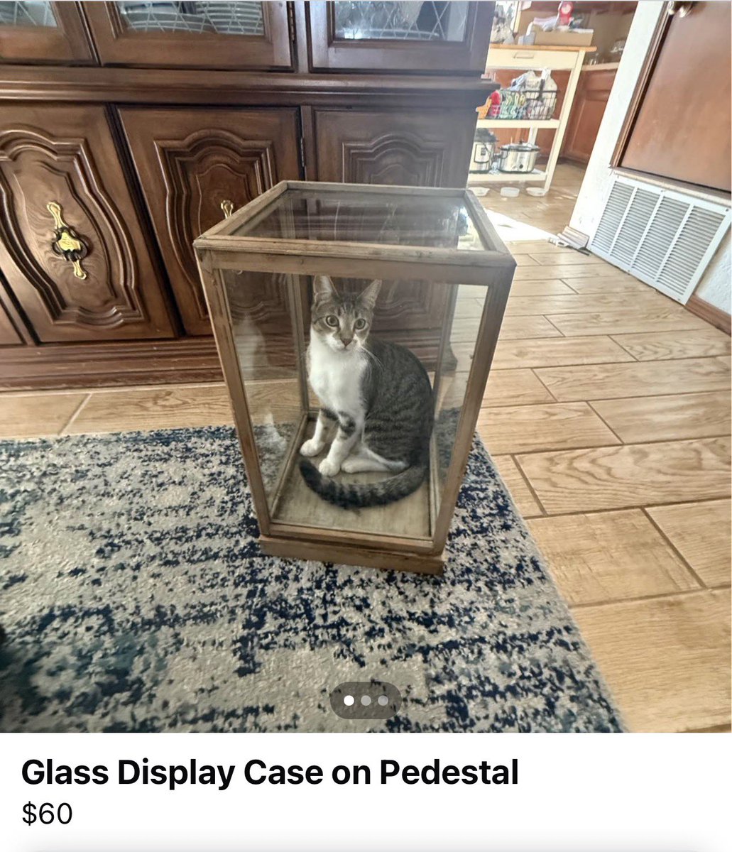 Putting all cats in the display case where they can cause no more trouble.