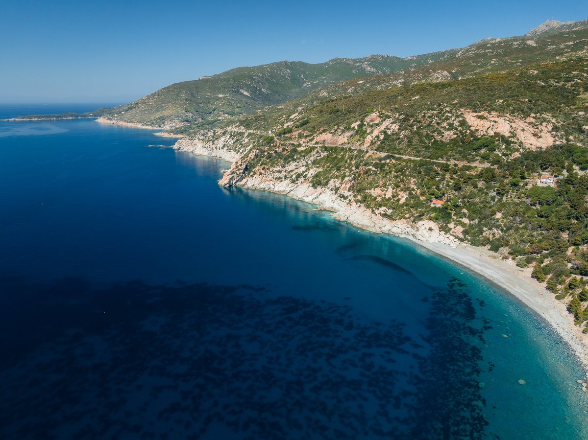 VisitElbaIT's tweet image. 🌊 La costa di Colle Palombaia, anima selvaggia dell'Elba: la macchia mediterranea si tuffa in un mare di un blu intenso. Bellezza autentica lontano dalla folla.

📸 Photo by Daniele Fiaschi

#IsolaDElba #CollePalombaia #spiaggiadeserta #MareBlu #naturaselvaggia #visitelba