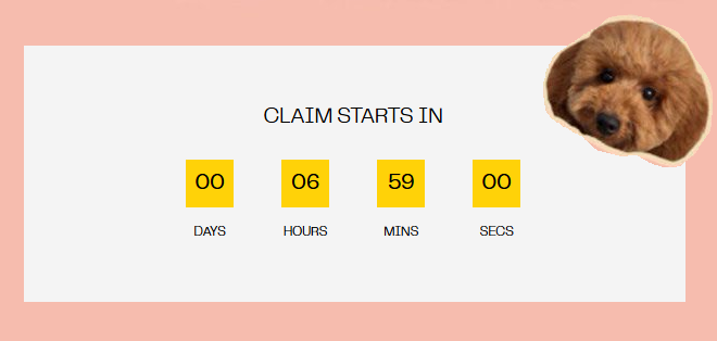 Poodle 🐩 tweet media