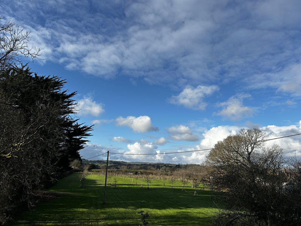 Had plans today to be in town and outside Boots for when they opened. Then gym this afternoon. Unfortunately my car wouldn’t start so plans scuppered 🙄. Walk it is then!