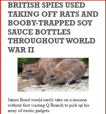 INPrimeMinister's tweet photo. BRITISH SPIES USED TAKING OFF RATS AND BOOBY-TRAPPED SOY SAUCE BOTTLES THROUGHOUT WORLD WAR II

Link: https://t.co/SklveDaCGf | News: James Bond 

#throughout #breakingnews #INS

Follow us https://t.co/XeXkepOG54
