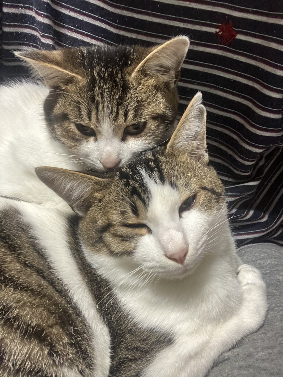 重たいんやけどなぁ〜