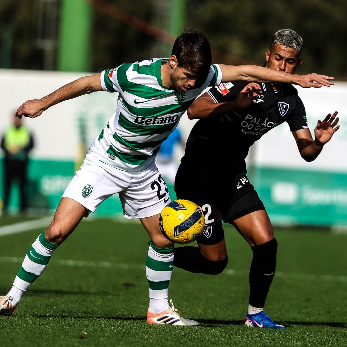 De regresso à competição: Daniel Bragança 💚