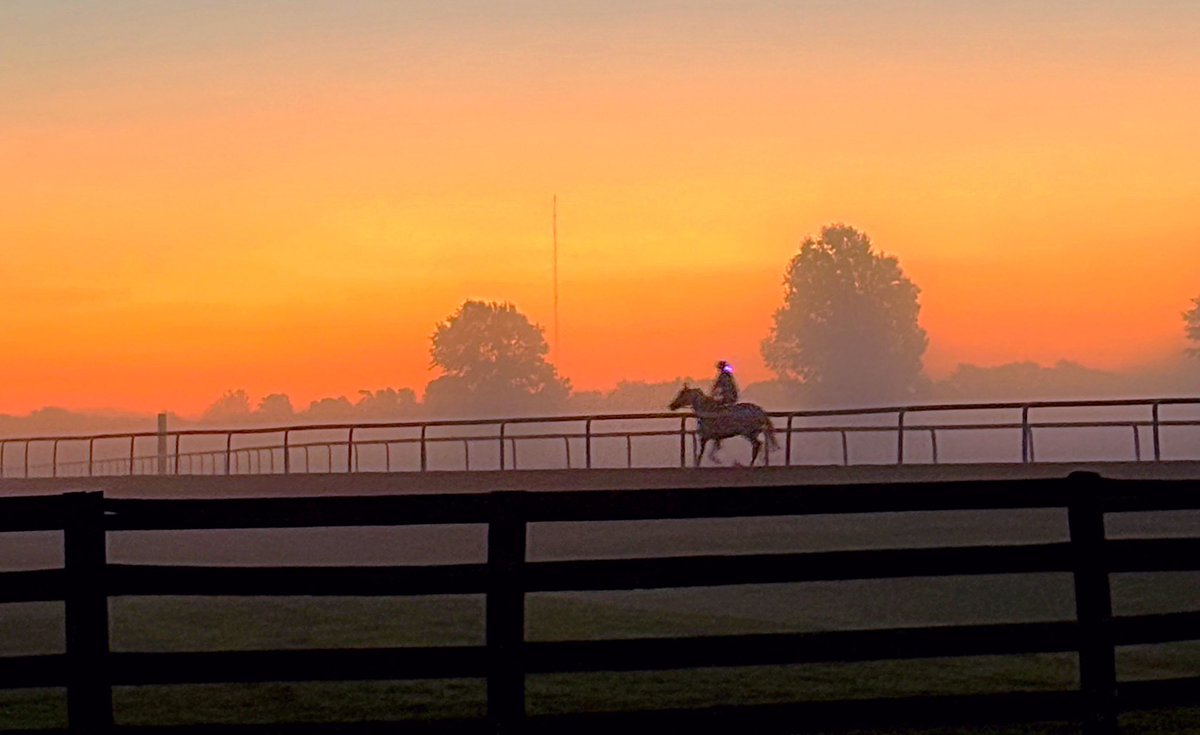 First Sunday of 2026!   Derby preps are in full swing. Only 118 days till <a href="/KentuckyDerby/">Kentucky Derby</a>   <a href="/WLKY/">WLKY</a>