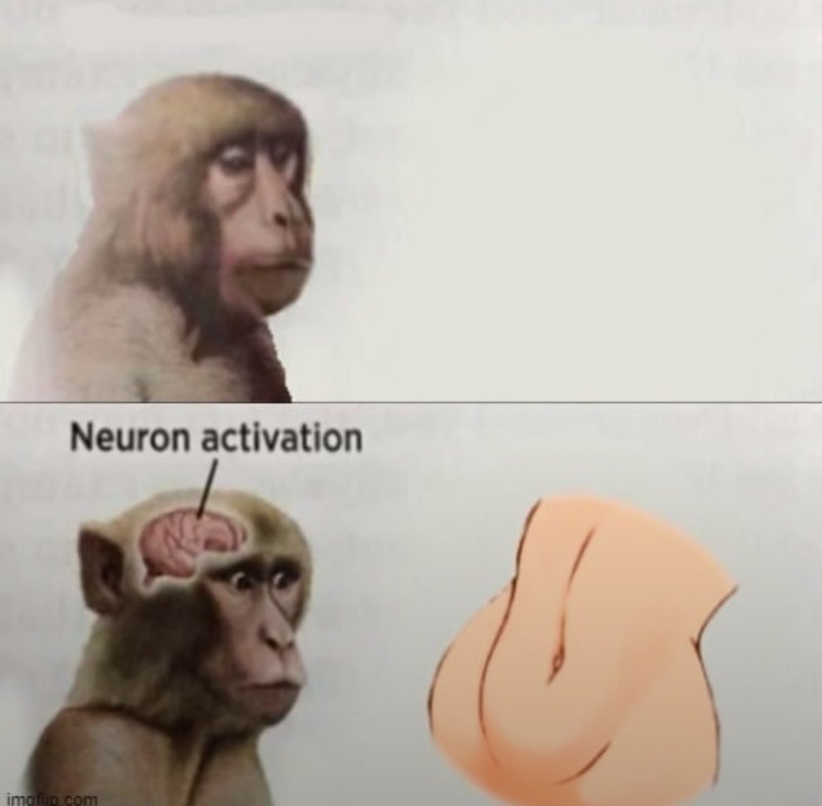 odeiootaco's tweet image. 