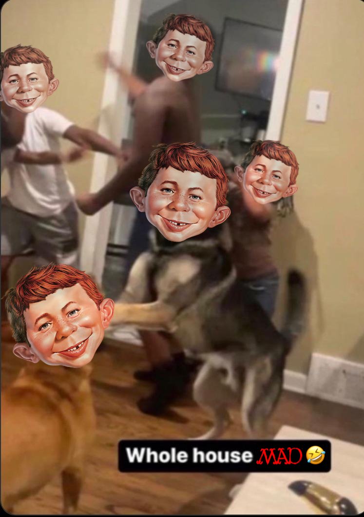 emeraldappul's tweet image. 