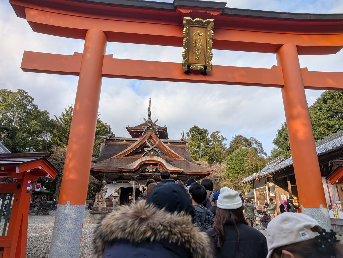 トンピ～ tweet media