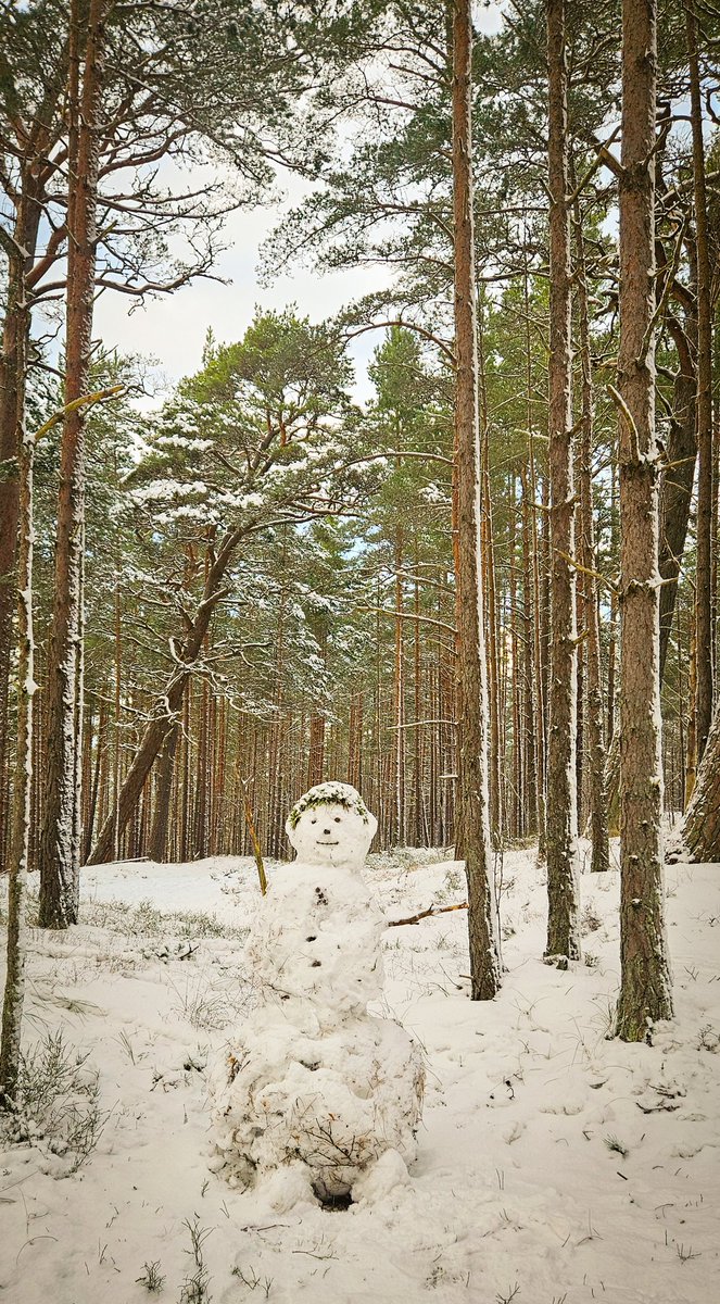 Aigars Prūsis 🇱🇻 tweet media